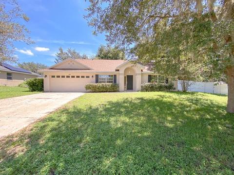 1995 Meadowside Dr, Eustis, FL 32726 photo 1