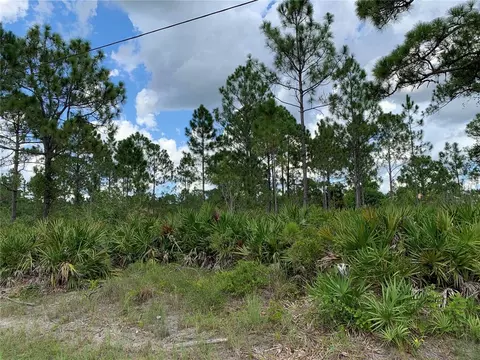 1006 Rush Ave, Lehigh Acres, FL 33972
