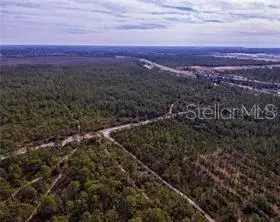 International Drive, Orlando, FL 32821