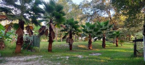 2648 SW 112th Rd, Webster, FL 33597 photo 1