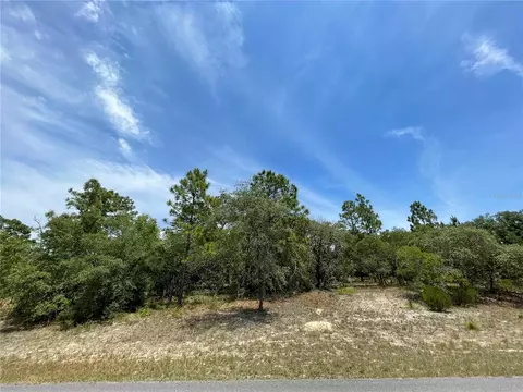6691 N Grayton Ter, Citrus Springs, FL 34433