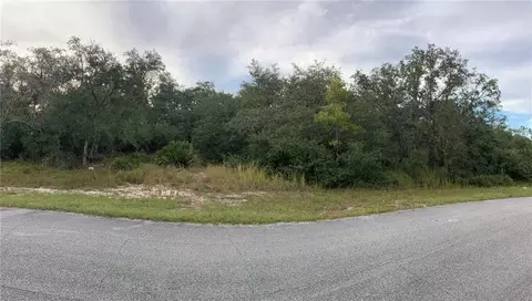 1621 Pickerel Ct, Poinciana, FL 34759