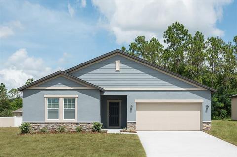 1462 Bluejack Oak Dr, Seffner, FL 33584 photo 1