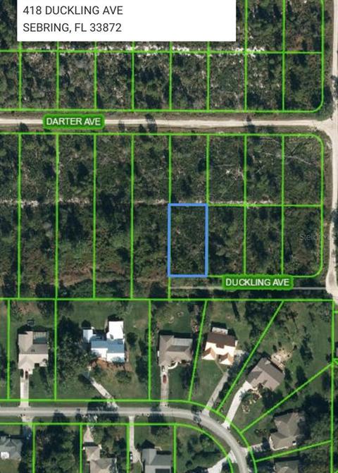 418 Duckling Ave, Sebring, FL 33872 photo 1