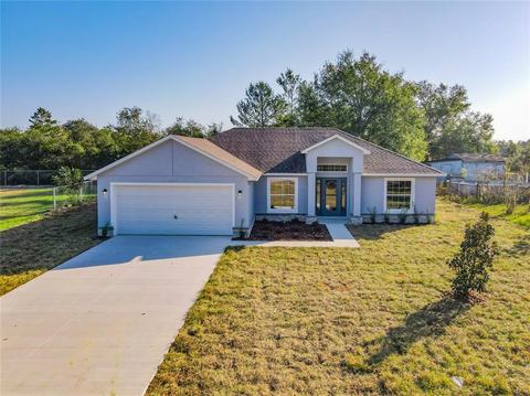 40520 E First Ave, Umatilla, FL 32784 photo 1