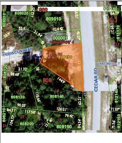2145 Hibiscus Way, Poinciana, FL 34759