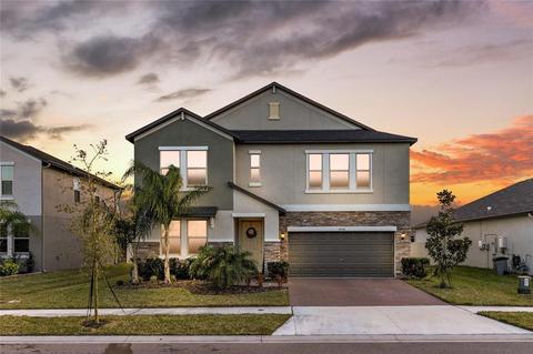 25118 Lambrusco Loop, Lutz, FL 33559 photo 1