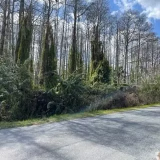 Richmond Road, Saint Cloud, FL 34773