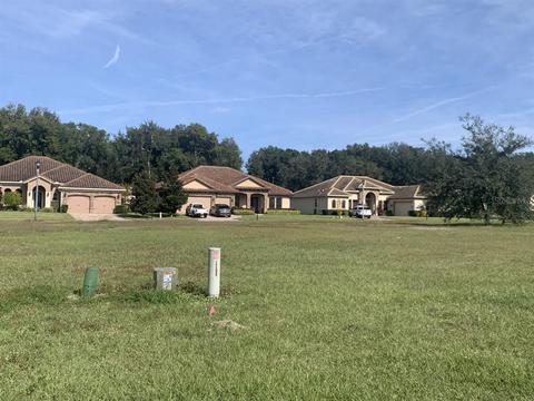 12818 Brunello Cir, Clermont, FL 34711