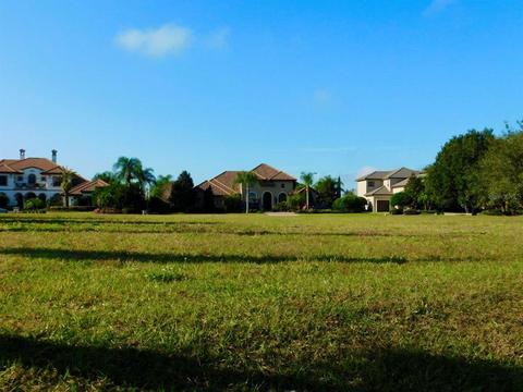 2019 Castelli Blvd, Mount Dora, FL 32757 photo 1