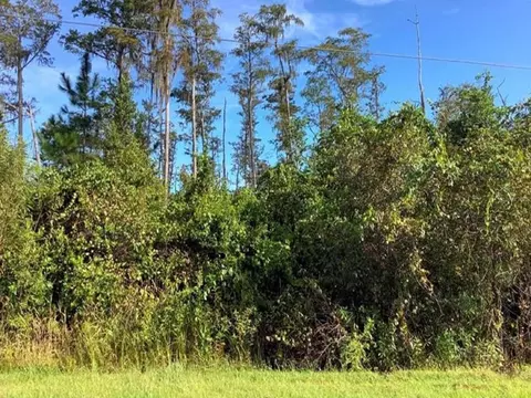 Paddock Street, Orlando, FL 32833