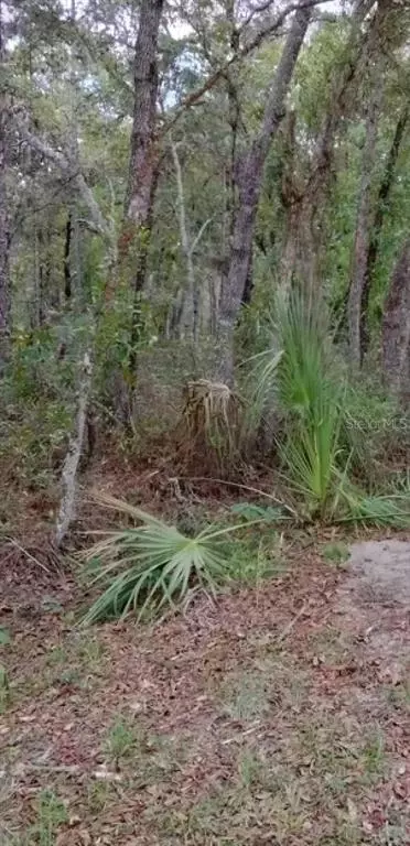 0 Macy Rd #O6025881, Weeki Wachee, FL 34614