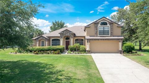 24226 Milford Dr, Eustis, FL 32736 photo 1