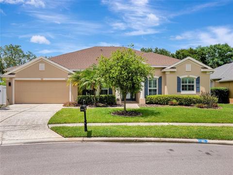 649 Belhaven Falls Dr, Ocoee, FL 34761 photo 1