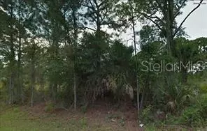 Jacaranda Avenue, North Port, FL 34291