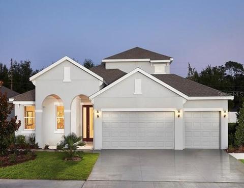 3026 Bethpage Loop, Mount Dora, FL 32757 photo 1