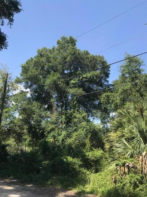 1588 Bear Paw Ln, Deland, FL 32720