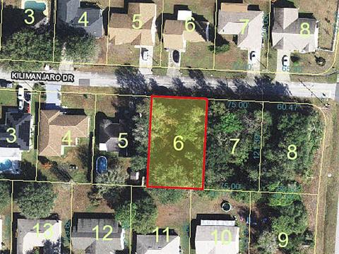 506 Kilimanjaro Dr, Kissimmee, FL 34758