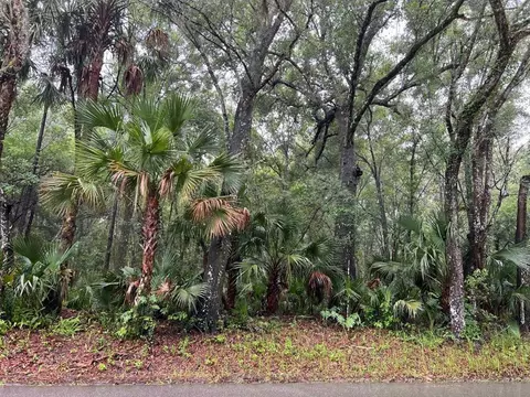 Ohio Avenue, Lake Helen, FL 32744