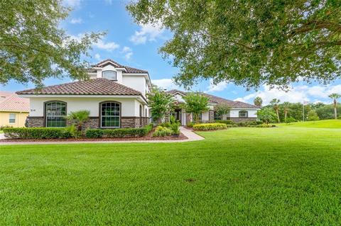 314 Two Lakes Ln, Eustis, FL 32726 photo 1
