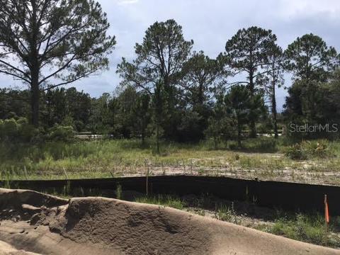 333 Amberjack Ct, Poinciana, FL 34759