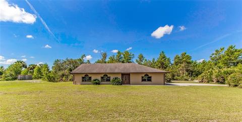 26650 Pelican St, Eustis, FL 32736 photo 1