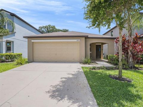 12733 Lemon Pepper Dr, Riverview, FL 33578 photo 1