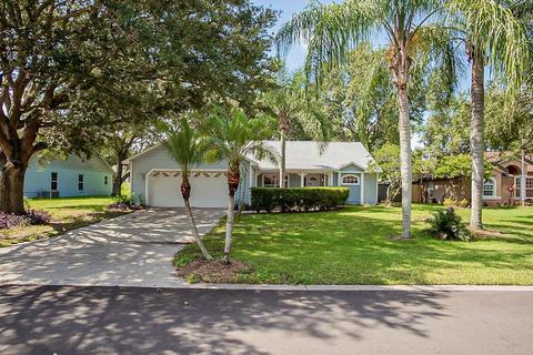 3006 Linmont Ln, Eustis, FL 32726 photo 1