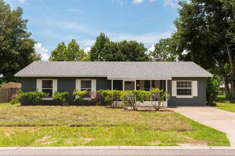 609 Dorothy Cir, Eustis, FL 32726 photo 1