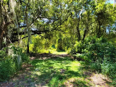 Tbd County Road 48, Yalaha, FL 34797