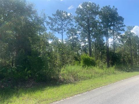 Sw Fig Tree Lane, Dunnellon, FL 34431