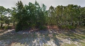 6308 Dian Ave, Sebring, FL 33875 photo 1