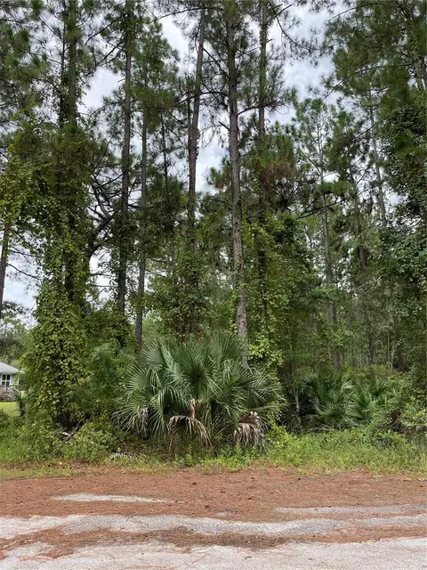 W Cashew Court, Eustis, FL 32736