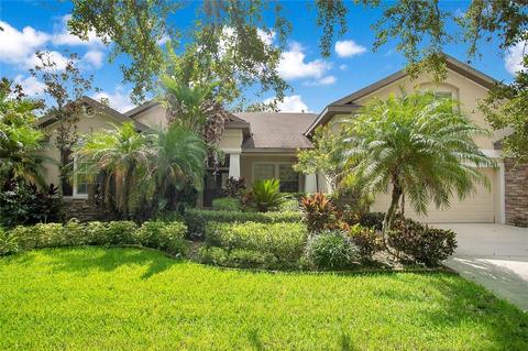 6134 Ibispark Dr, Lithia, FL 33547 photo 1