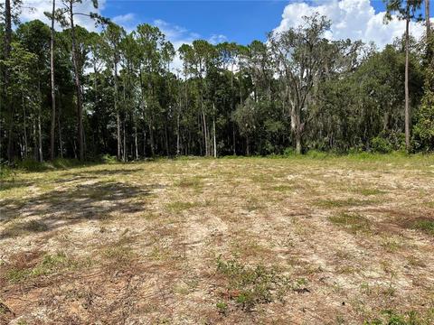 656 Miller Farms Ct, Sanford, FL 32771