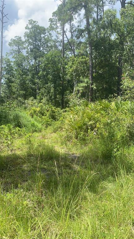 1900 Old River Trl, Chuluota, FL 32766