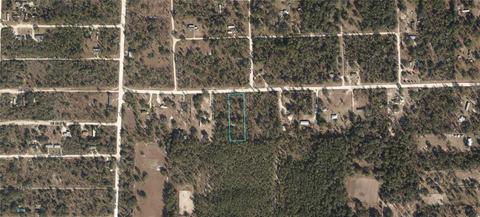 12150 NE 63rd Pl, Williston, FL 32696 photo 1