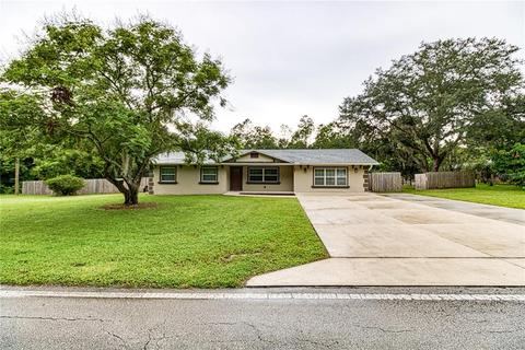5800 Terrell Rd, Mount Dora, FL 32757 photo 1