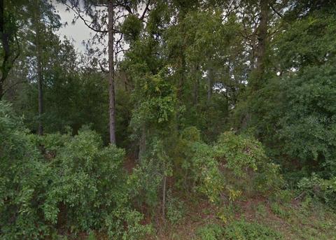 1768 E Bismark St, Hernando, FL 34442 photo 1