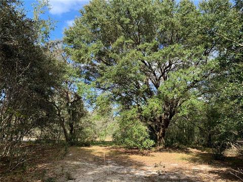 Florida Boys Ranch Road, Clermont, FL 34711