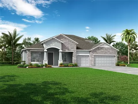 10128 Dolphin Gull Cir, Thonotosassa, FL 33592