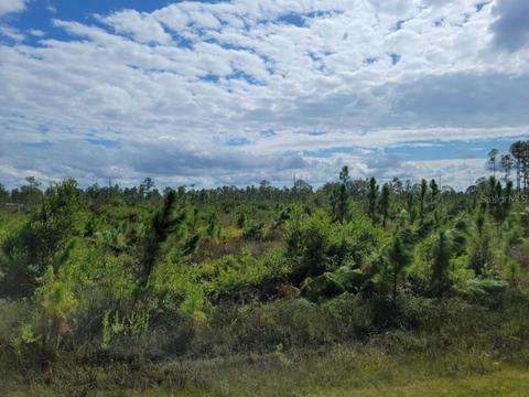 45 Meadowlark Blvd, Lake Wales, FL 33898