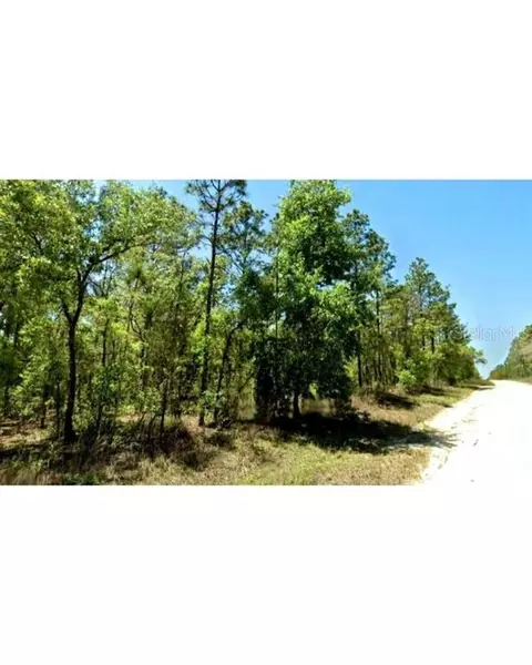 23066 NE 157th Ter, Fort Mc Coy, FL 32134