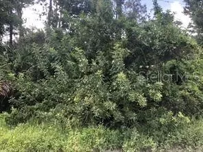 Jefferson Avenue, Orlando, FL 32820