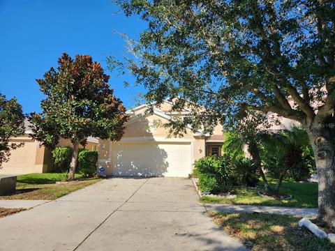11527 Hammocks Glade Dr, Riverview, FL 33569 photo 1
