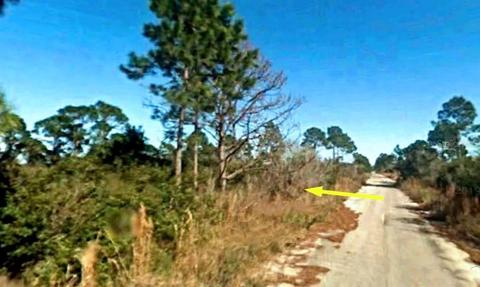 1920 Camelia Ter, Sebring, FL 33875 photo 1