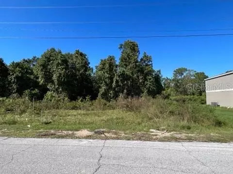 838 Hudson Valley Dr, Poinciana, FL 34759