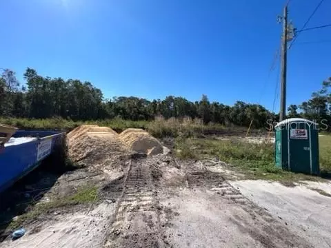 450 Big Black Pl, Poinciana, FL 34759