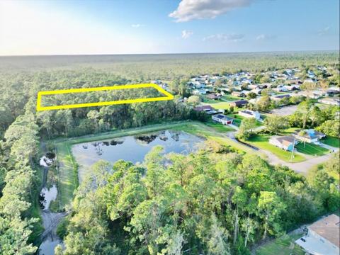 1920 Daffodil Ave, Sebring, FL 33875 photo 1