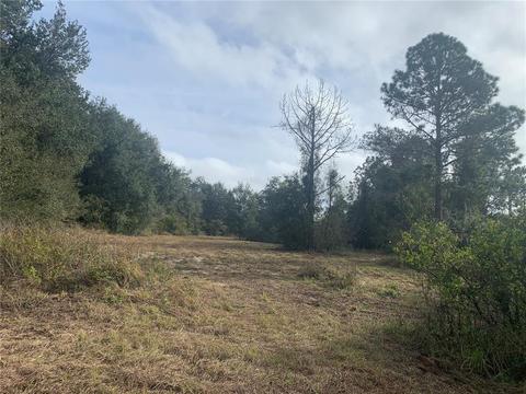 N Cherry Lake Groves Road, Groveland, FL 34736